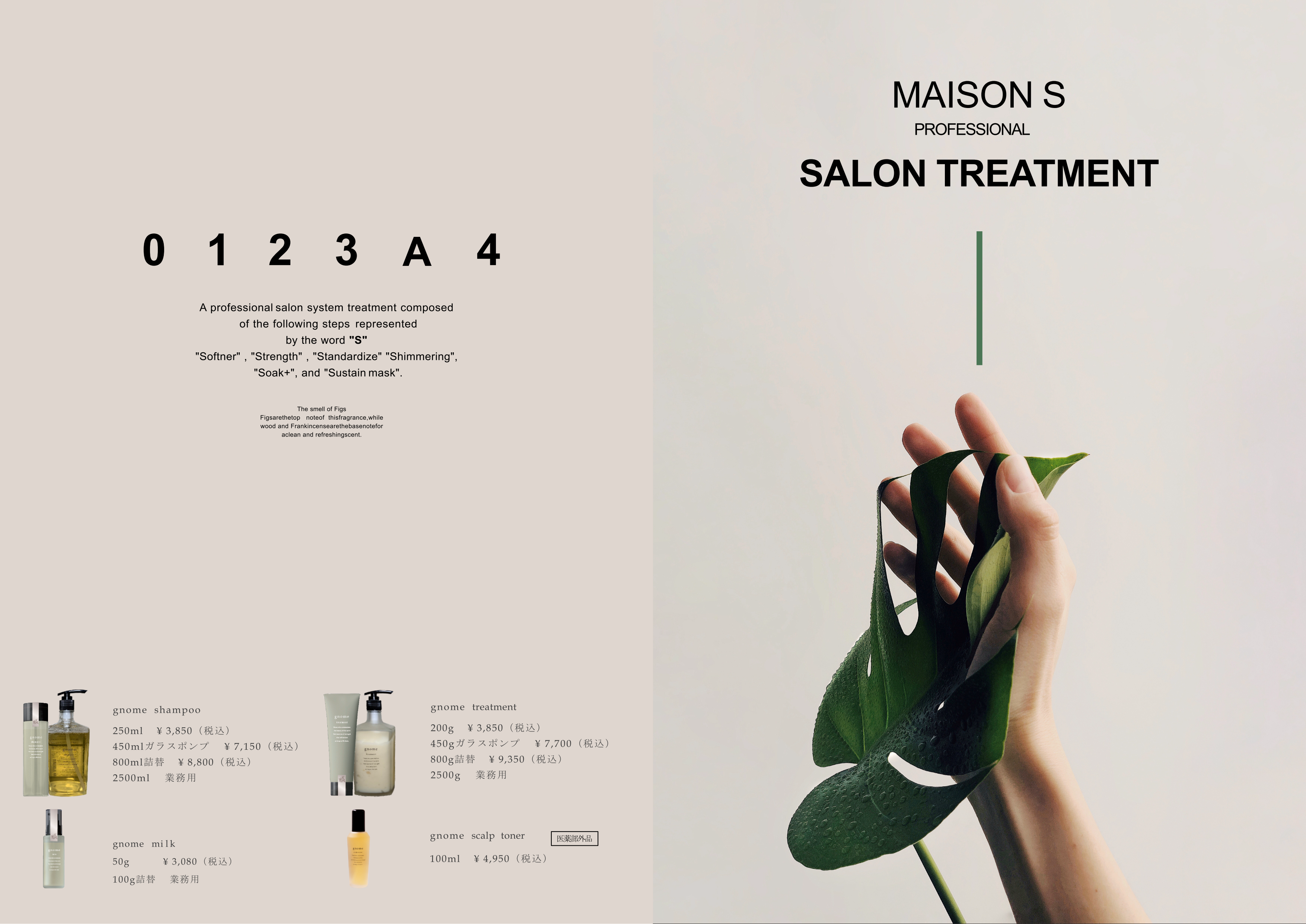 STRENGTH TOS-STEA pamphlet 01