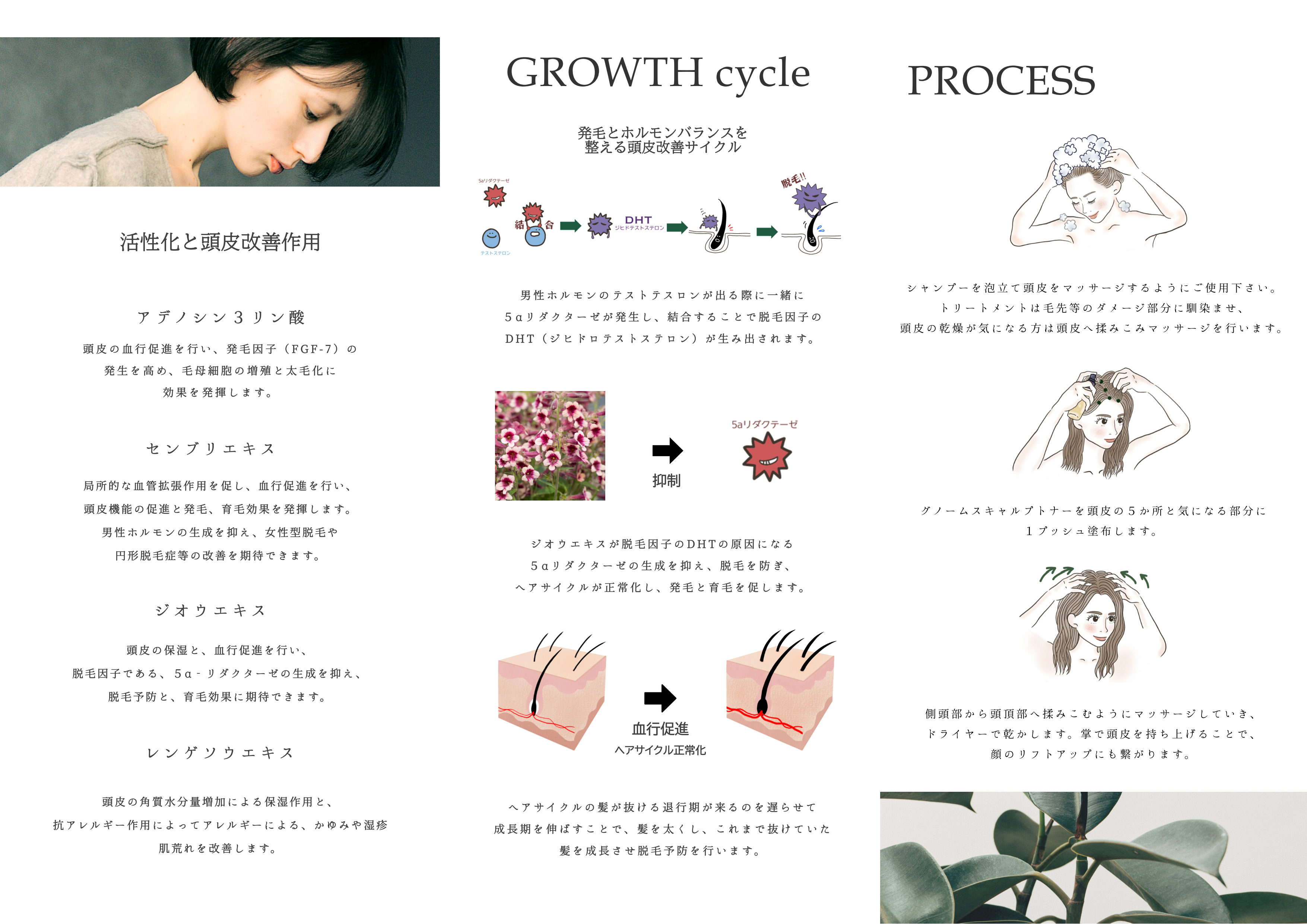 gnome scalp toner pamphlet 02